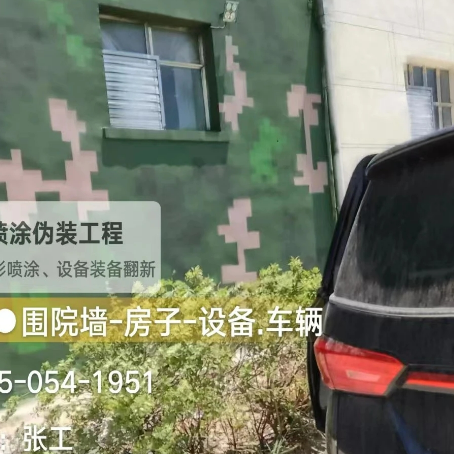 广州数码迷彩漆施工
